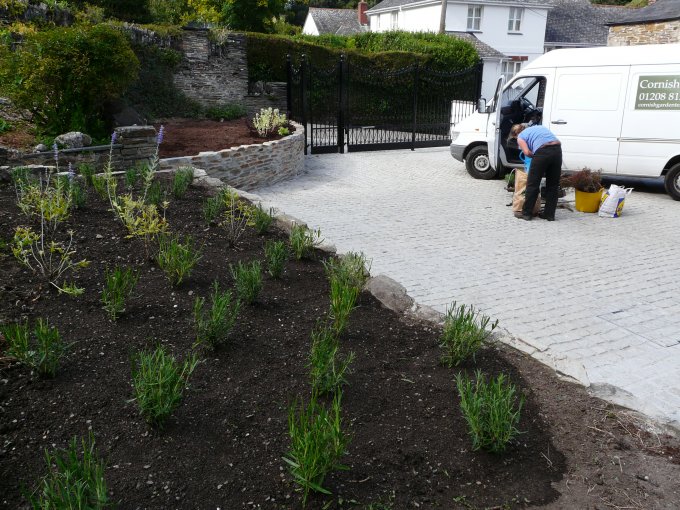 Planting, Padstow