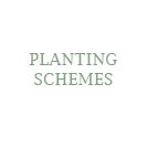 Planting Schemes