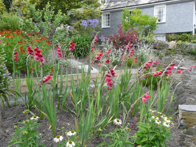 Planting, Padstow